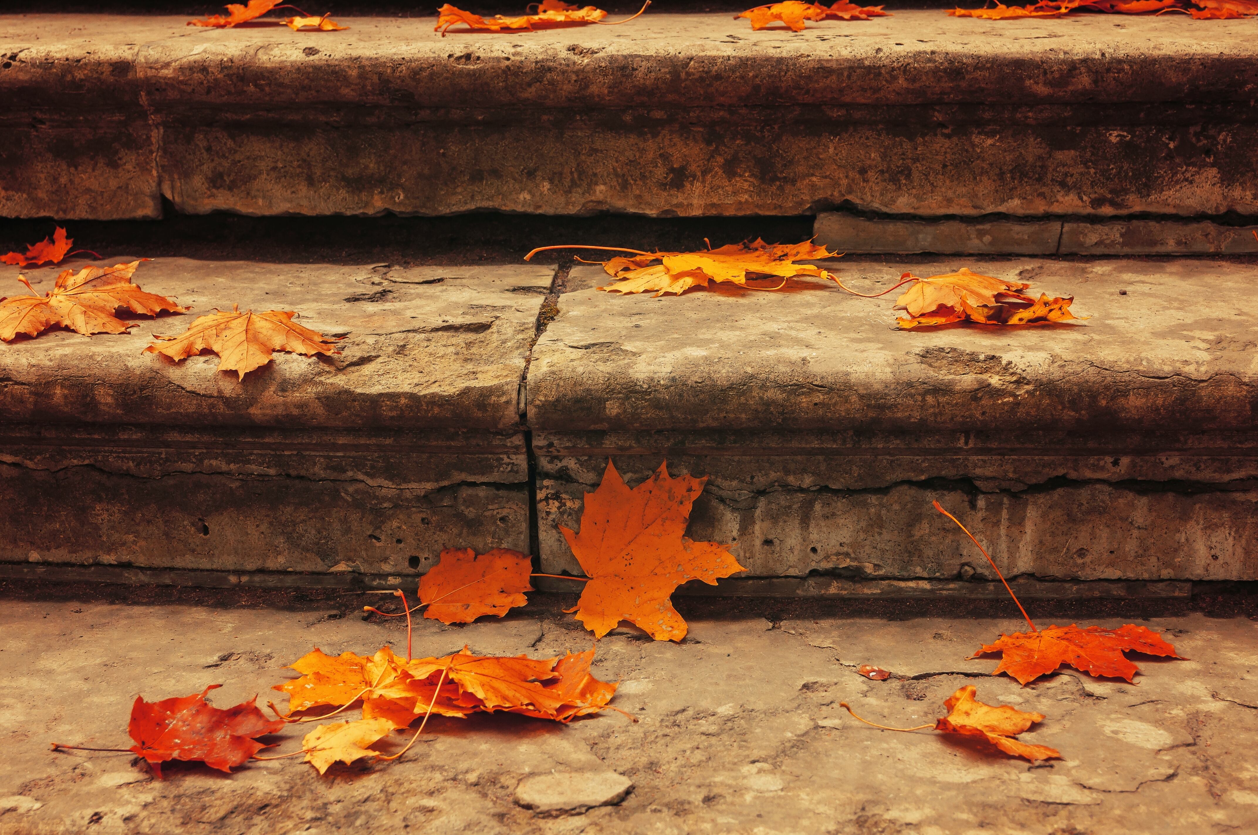 Imagen ilustrativa del otoño (Shutterstock España)