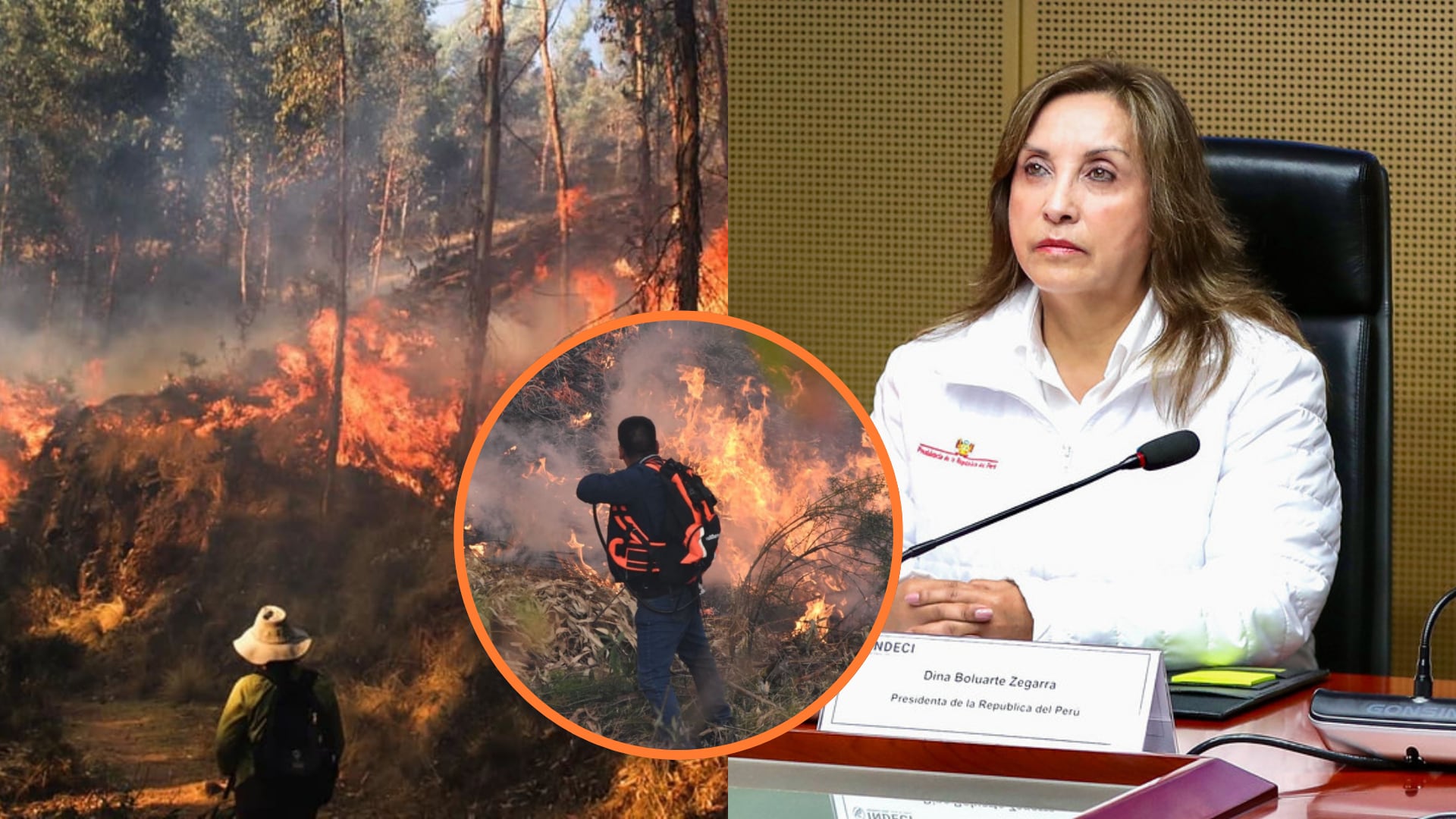 Critican al gobierno de Dina Boluarte por respuesta frente a los incendios forestales. (Fotocomposición Perú/ Andina/ Presidencia de la República)